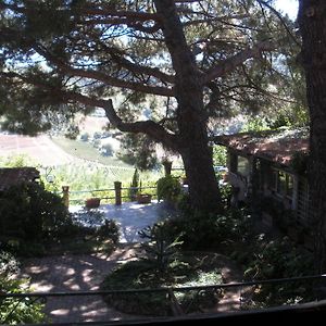 B&B Ippolito